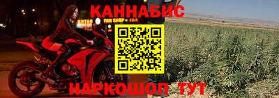 МДПВ Татарск