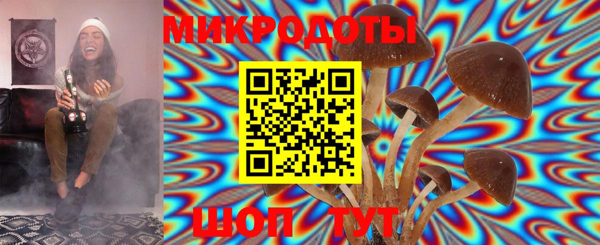 Псилоцибиновые грибы Psilocybine cubensis  Вход с VPN  Новотроицк  Галлюциногенные грибы Cubensis 